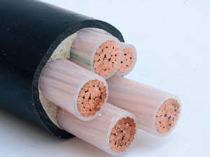 低烟无（低）卤电线电缆 WDZ-BY / WDZ-BYJ / WDZ-RYJ