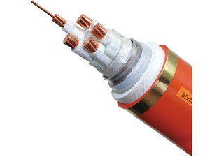 矿物质防火电缆 YTTWY / BTLY / BBTRZ / BTTZ