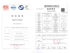 检验报告
