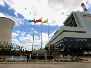 河北省廊坊热电厂二期2×350mw热电联产项目