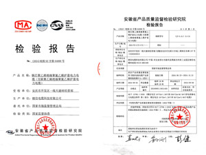检验报告